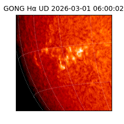 gong - 2026-03-01T06:00:02