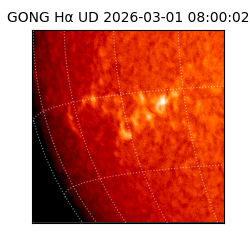 gong - 2026-03-01T08:00:02