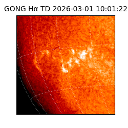 gong - 2026-03-01T10:01:22