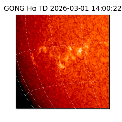 gong - 2026-03-01T14:00:22