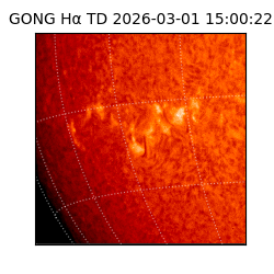 gong - 2026-03-01T15:00:22