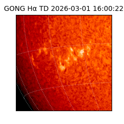 gong - 2026-03-01T16:00:22