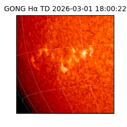 gong - 2026-03-01T18:00:22