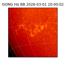 gong - 2026-03-01T20:00:02