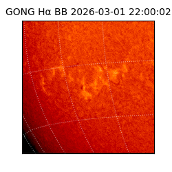 gong - 2026-03-01T22:00:02