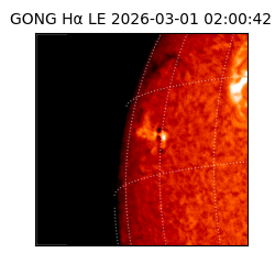 gong - 2026-03-01T02:00:42
