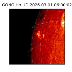 gong - 2026-03-01T06:00:02
