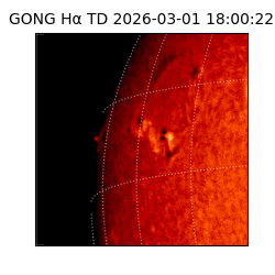 gong - 2026-03-01T18:00:22