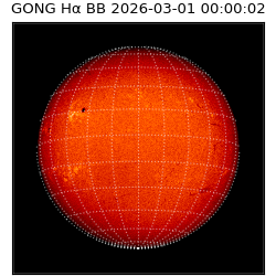 gong - 2026-03-01T00:00:02