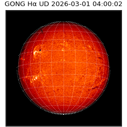 gong - 2026-03-01T04:00:02