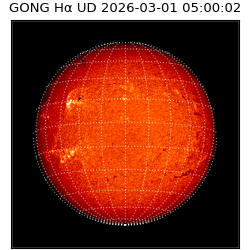 gong - 2026-03-01T05:00:02