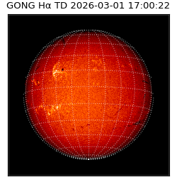 gong - 2026-03-01T17:00:22