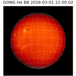 gong - 2026-03-01T22:00:02