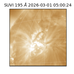 suvi - 2026-03-01T05:00:24.437000