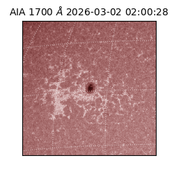 saia - 2026-03-02T02:00:28.710000