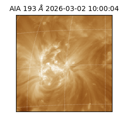 saia - 2026-03-02T10:00:04.843000