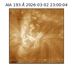 saia - 2026-03-02T23:00:04.843000