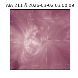 saia - 2026-03-02T03:00:09.626000