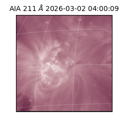 saia - 2026-03-02T04:00:09.626000