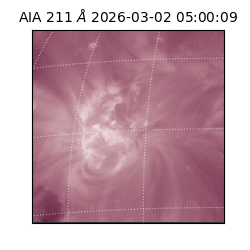 saia - 2026-03-02T05:00:09.626000