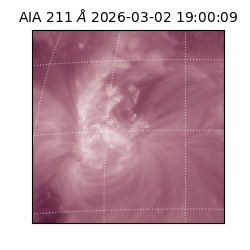 saia - 2026-03-02T19:00:09.626000