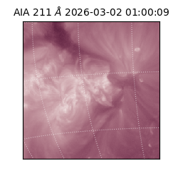 saia - 2026-03-02T01:00:09.626000