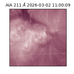 saia - 2026-03-02T11:00:09.625000