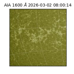 saia - 2026-03-02T08:00:14.131000