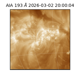 saia - 2026-03-02T20:00:04.843000