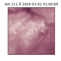 saia - 2026-03-02T01:00:09.626000