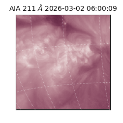 saia - 2026-03-02T06:00:09.630000