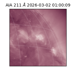 saia - 2026-03-02T01:00:09.626000