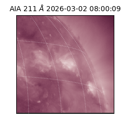 saia - 2026-03-02T08:00:09.626000