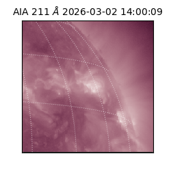 saia - 2026-03-02T14:00:09.626000