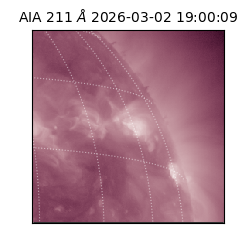 saia - 2026-03-02T19:00:09.626000