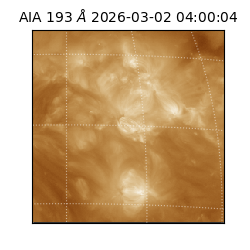 saia - 2026-03-02T04:00:04.843000