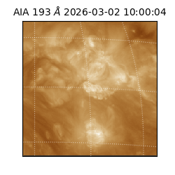 saia - 2026-03-02T10:00:04.843000