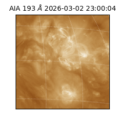 saia - 2026-03-02T23:00:04.843000