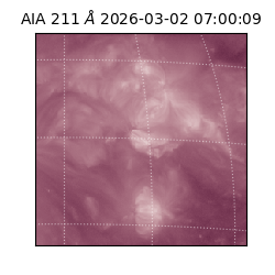 saia - 2026-03-02T07:00:09.630000