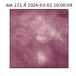 saia - 2026-03-02T10:00:09.632000