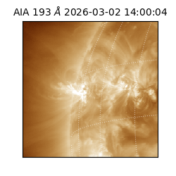 saia - 2026-03-02T14:00:04.843000