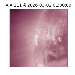 saia - 2026-03-02T01:00:09.626000