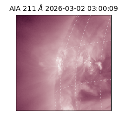 saia - 2026-03-02T03:00:09.626000