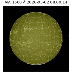 saia - 2026-03-02T08:00:14.131000
