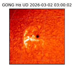 gong - 2026-03-02T03:00:02
