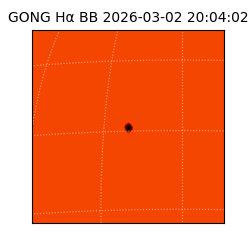 gong - 2026-03-02T20:04:02