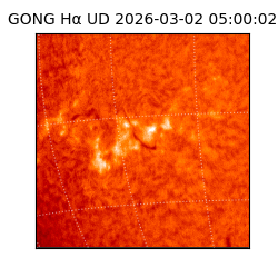 gong - 2026-03-02T05:00:02