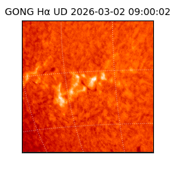 gong - 2026-03-02T09:00:02