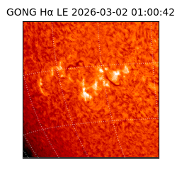 gong - 2026-03-02T01:00:42