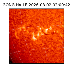 gong - 2026-03-02T02:00:42